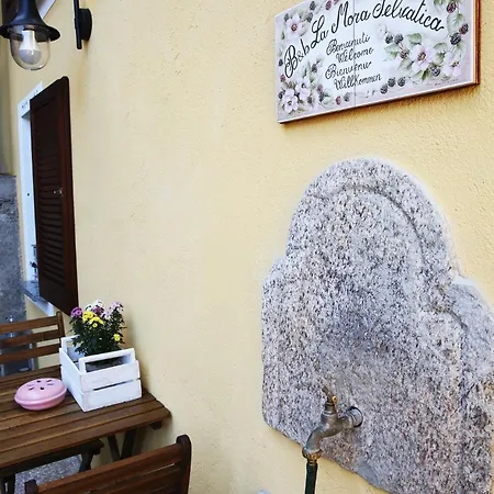 Panzió La Mora Selvatica Bieno